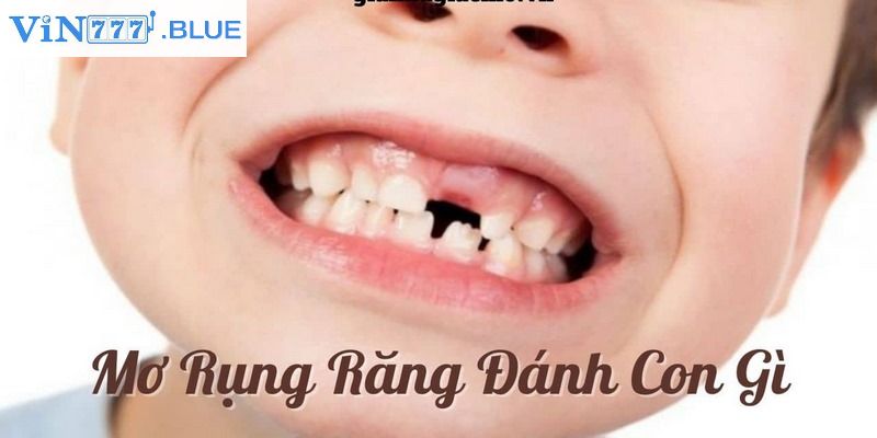 Nằm mơ thấy rụng răng đánh con lô nào để vào bờ