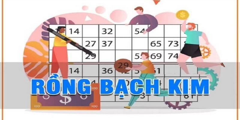 Soi cầu xổ số tại rồng bạch kim thật sự hiệu quả không?