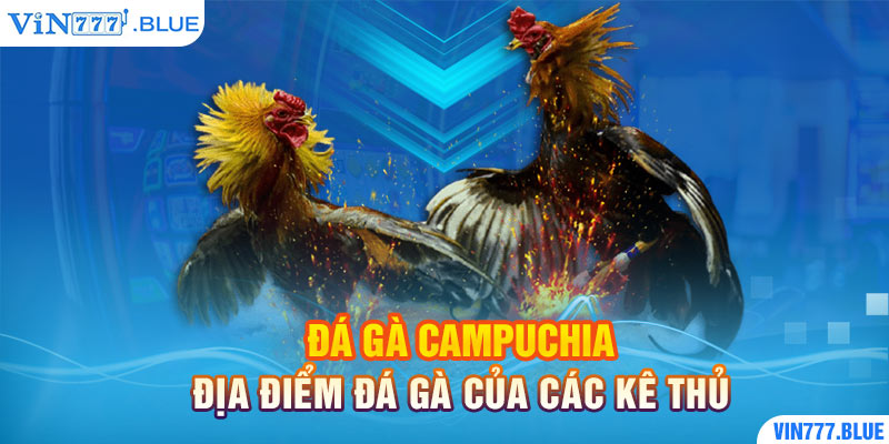 Đá Gà Campuchia - Địa Điểm Đá Gà Của Các Kê Thủ