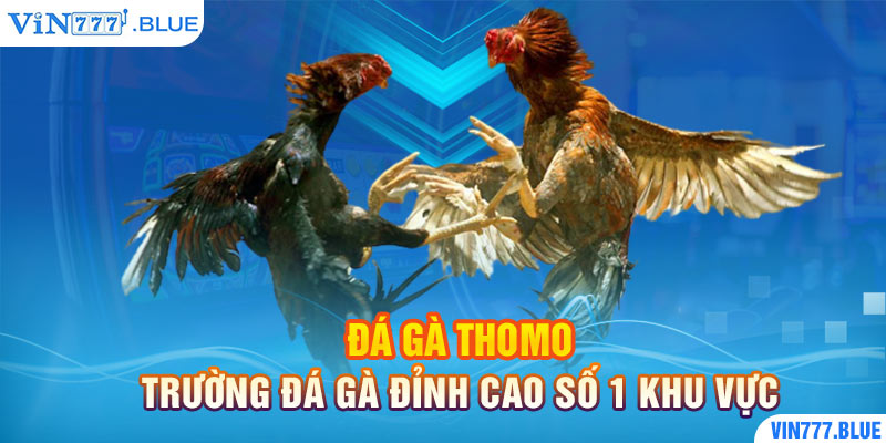 Đá Gà Thomo - Trường Đá Gà Đỉnh Cao Số 1 Khu Vực